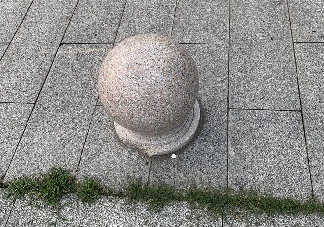 (jng)Zʲô̎?˿ԳZ