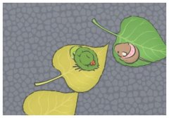 ȡ_˹݇,ձȡ݇