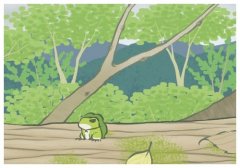 一根蟲草大概多少錢?野生蟲草多少錢一斤價格