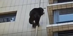V|?Ї(gu)Ɇ᣿