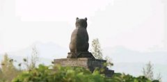 大盂鐵貓寺,山西鐵貓寺被稱為貓貓教總部