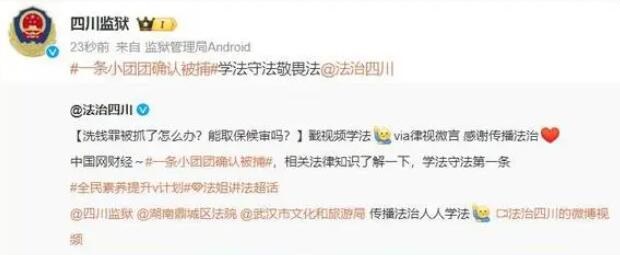 一條小團團確認被捕